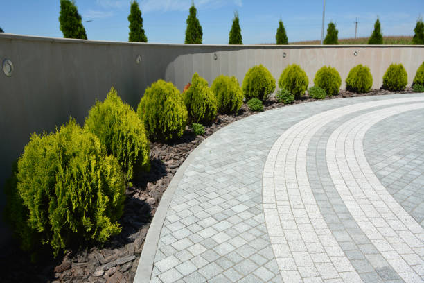 Best Interlocking Driveway Pavers  in North Star, DE